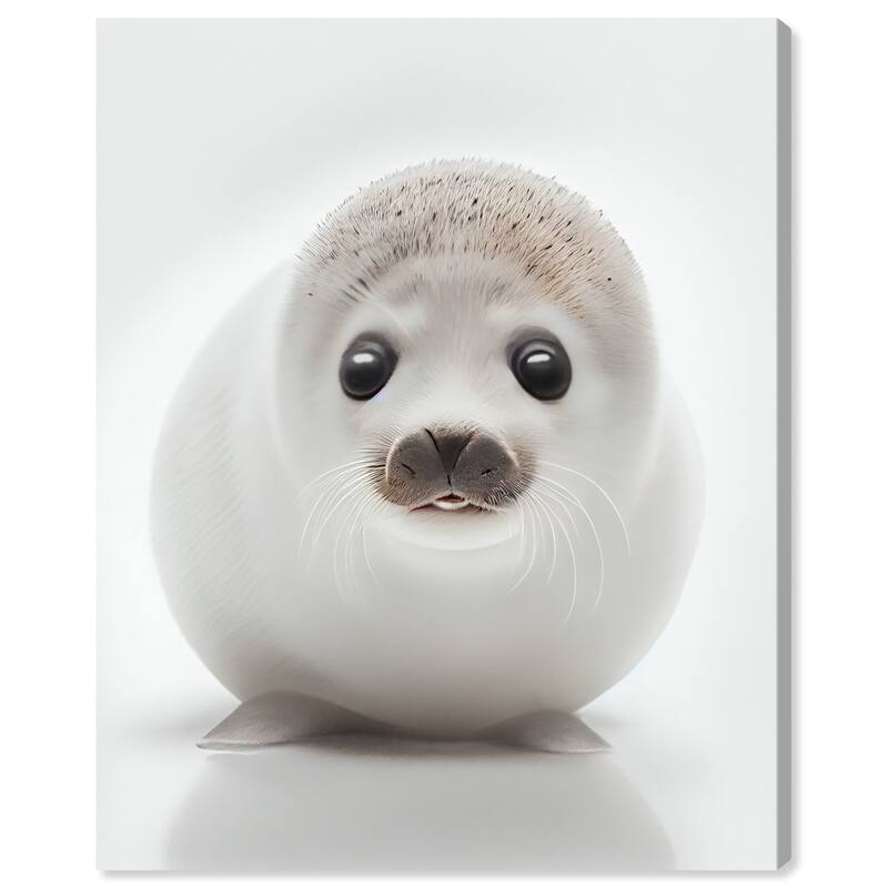 Wynwood Studio Canvas Animals Baby Animal Seal White and Modern & Contemporary Wall Art Canvas Print - White,