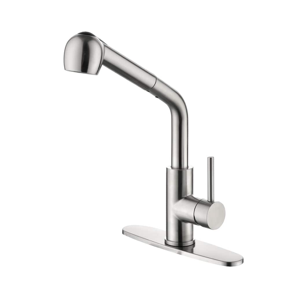 Topcraft Kitchen Faucets with Pull Down & Pull Out Sprayer