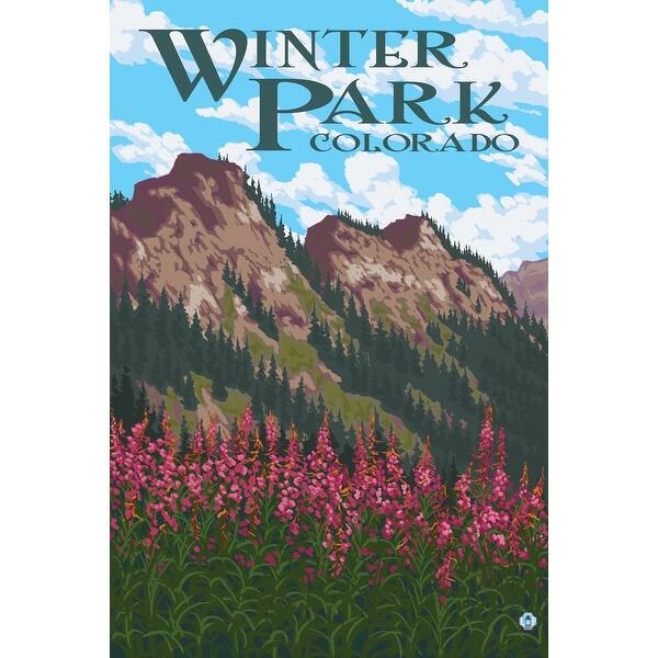 Shop Winter Park Colorado Fireweed And Mountains Lantern Press Poster Art Print Multiple Sizes Available 9 X 12 Art Print Overstock 27938959