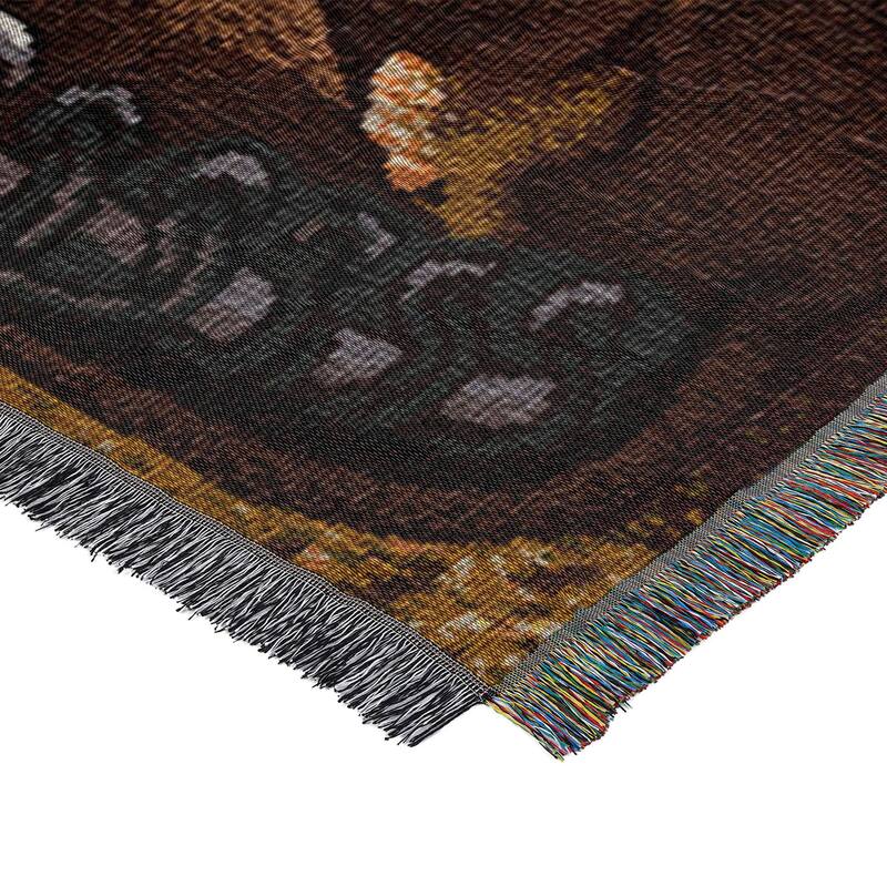 MLB Woven Tapestry Throw Blanket