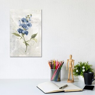 iCanvas "Blue Linen Sweet Pea" by Carol Robinson Canvas Print