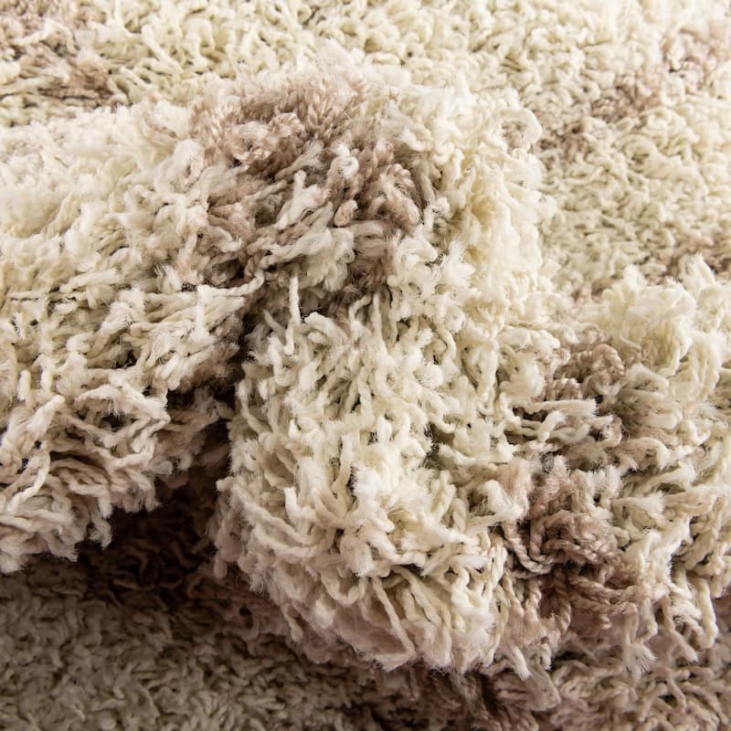 Shag Olido Collection Area Rug