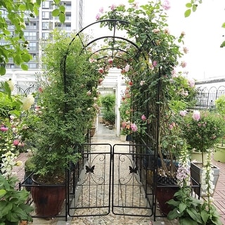 Black Metal Garden Arch with Gate - Rose Trellis for Climbing Plants ...
