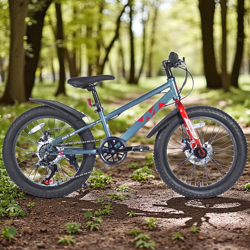 20 Inch Kids Fat Tire Mountain Bike, Boys & Girls 7-Speed Shimano with Dual Disc Brakes & Suspension Fork