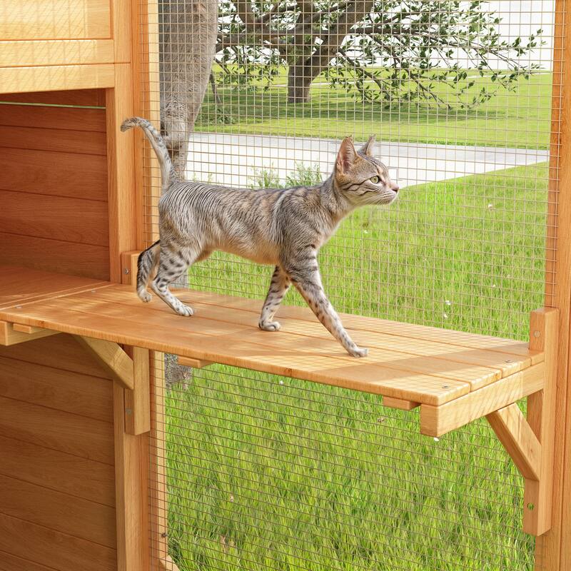 Cat Catio Window Box for 6 to 8 Kittens, Lockable House with 5 Windows