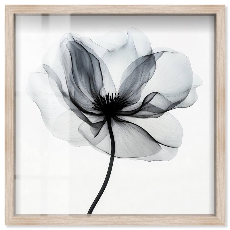 Midania I Shadowbox by Art Remedy - Natural - 16" x 16"