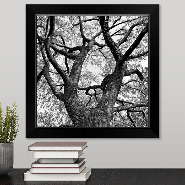 "Central Park, New York" Black Framed Print