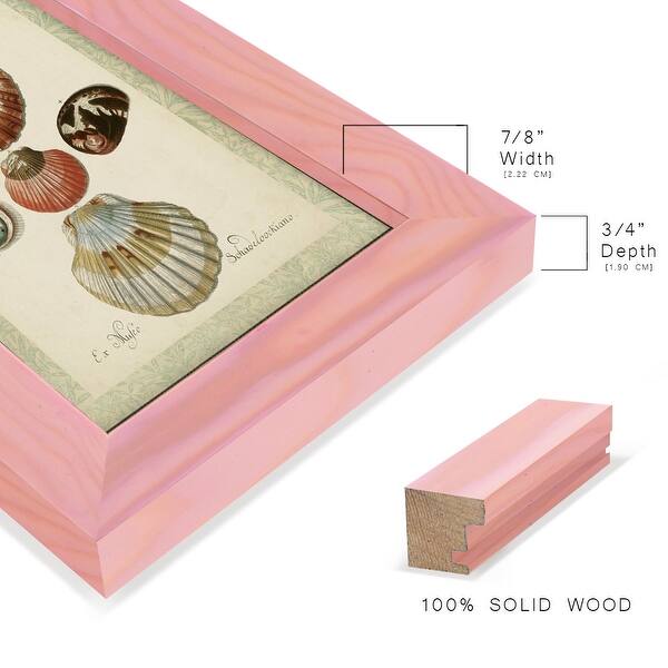 dimension image slide 5 of 10, Bookplate Shells III -Framed Print w/glass-Cherry Red