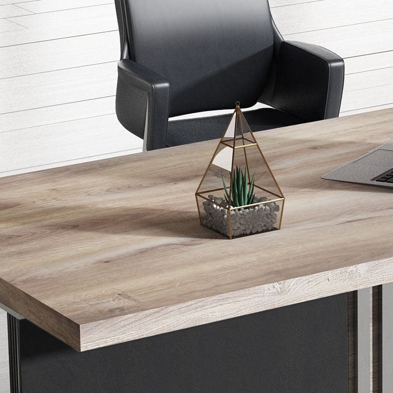 WESOME Modern Executive Office Desk Computer Bussiness Desk with Cable Management