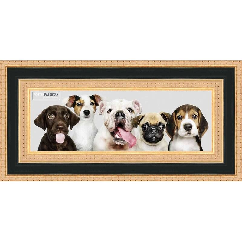 40x16 Traditional Gold Complete Wood Panoramic Frame with UV Acrylic