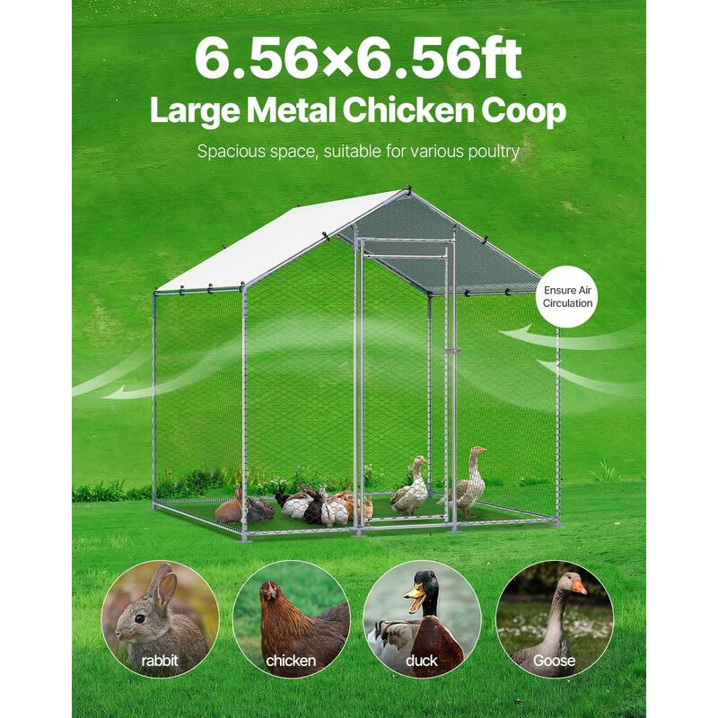 UIMOSO Metal Chicken Coop, Large Walk-in Chicken Runs with Cover, Hen House Enclosure with Security Lock