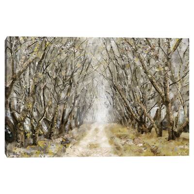 Enchantment by Studio Arts Canvas Art Print