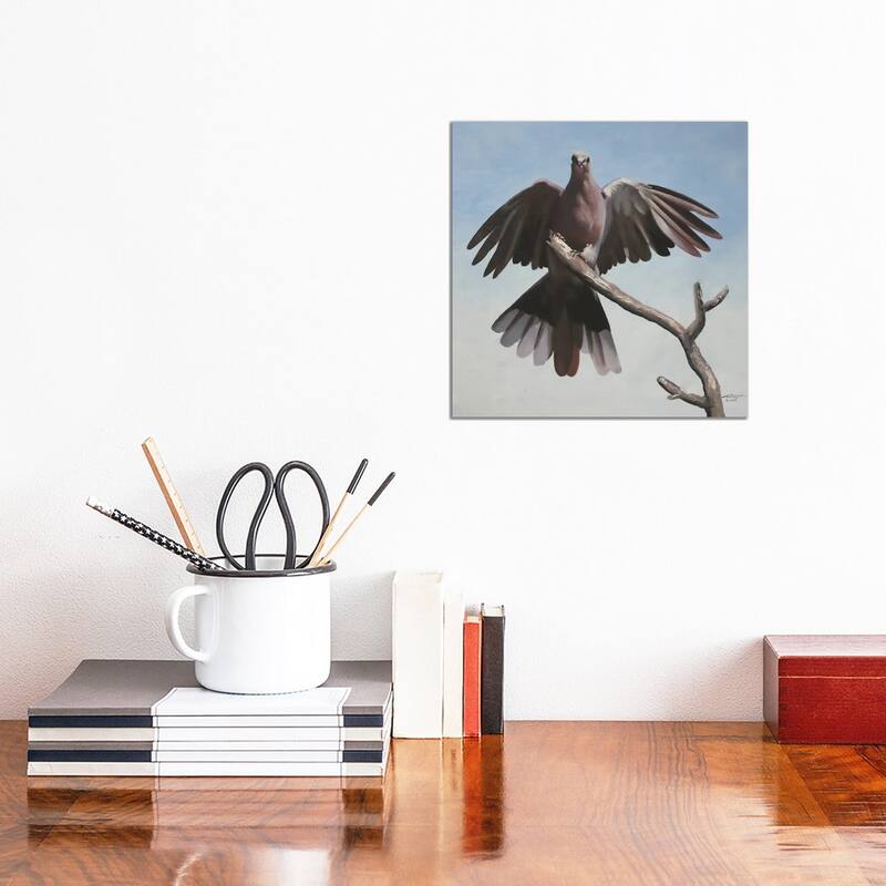 iCanvas "Dove" by D. "Rusty" Rust Canvas Print - 12x12x0.75