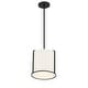 preview thumbnail 5 of 4, Crystorama Lighting Group CAR-9201 Carlyn 10" Wide Mini Pendant