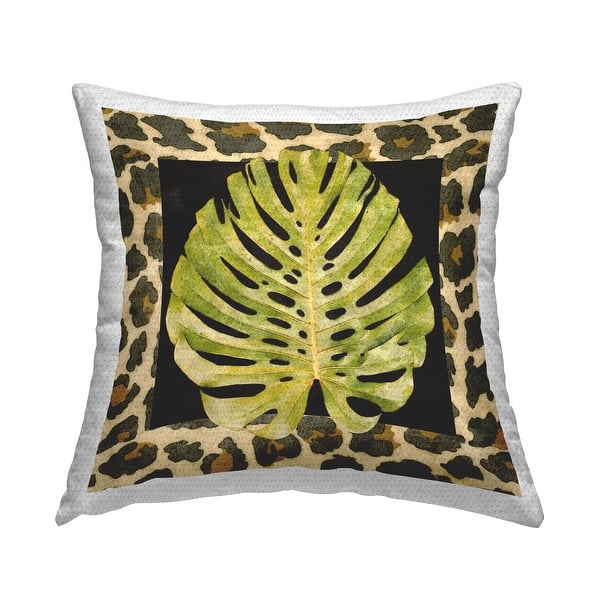 wie oft philodendron gießen Philodendron Brandtianum – Foliage Dreams