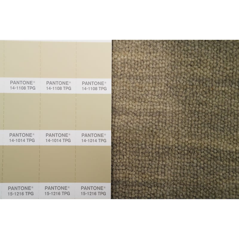 Hand Knotted Oriental 100% Wool Carpet Tribal Animal Pictorial Beige & Ivories Gabbeh Area Rug - 3' 0'' X 2' 0''
