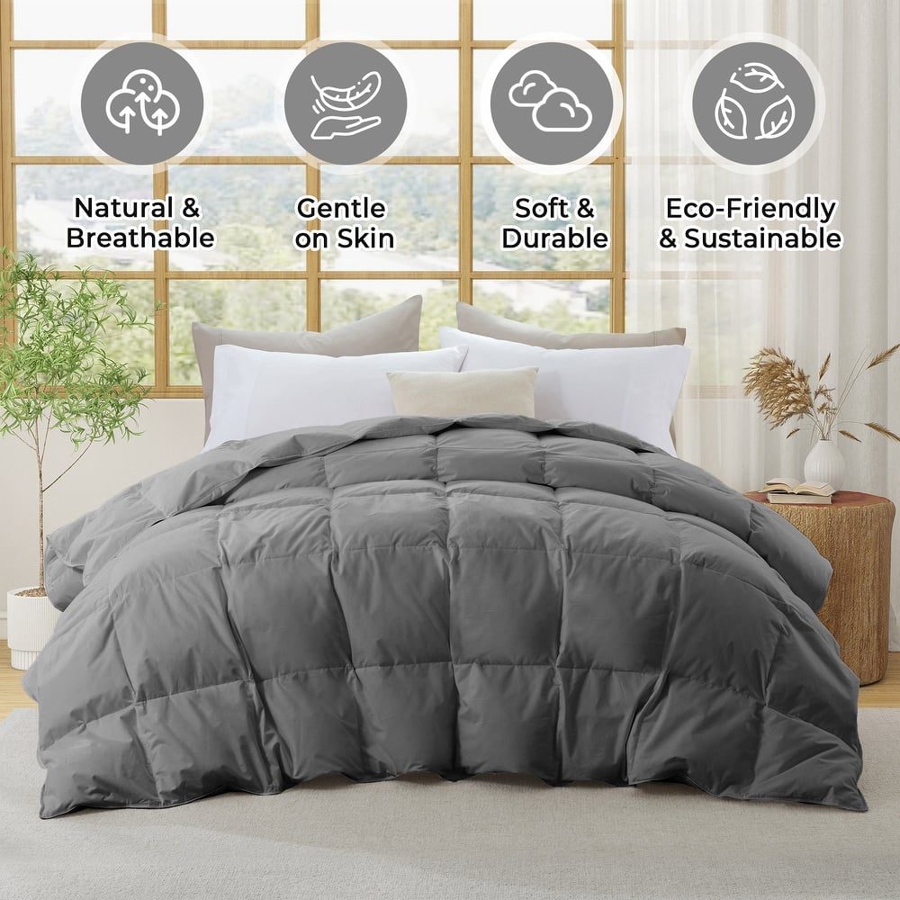 Medium Warmth 300TC Organic Cotton Down Comforter - 100% Natural, Chemical-Free, All Season Duvet Insert