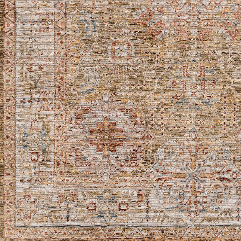 Aiyla Traditional Medallion Area Rug