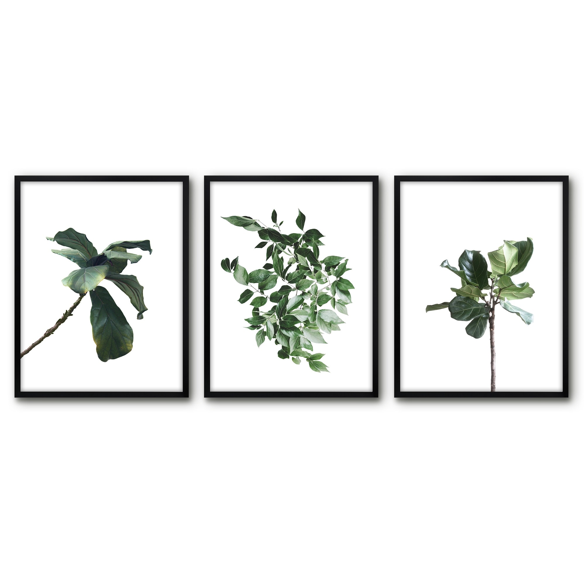 Americanflat Botanical 22x28 Framed Print - Tiny House Plants