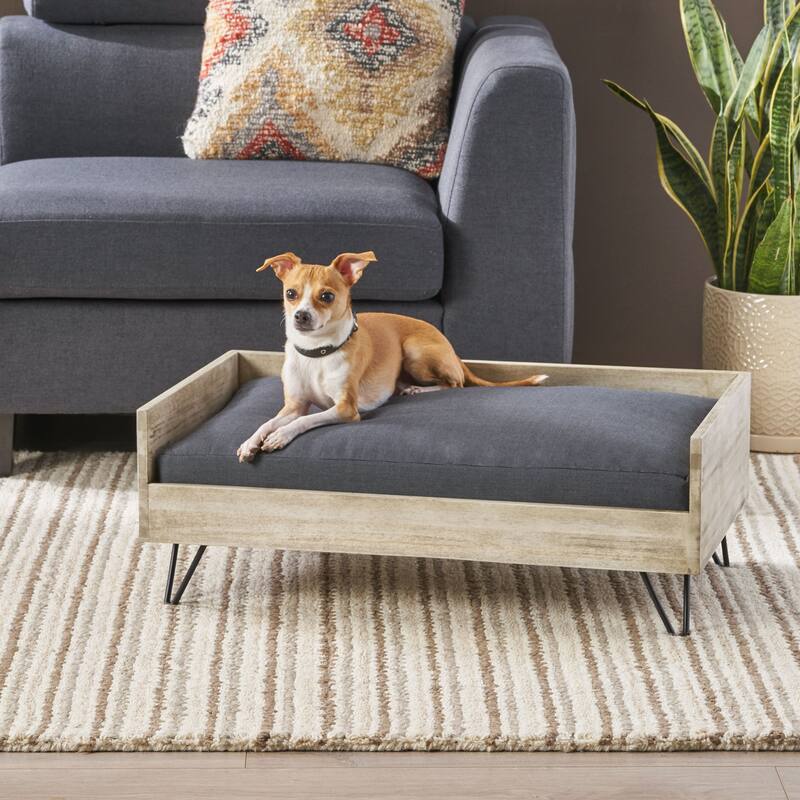 Roomfitters Modern Dog Bed with Cushion, Elevated Pet Sofa with Hairpin Legs for Living Room Decor, Dark Gray - Dark Grey