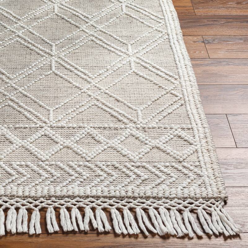 Artistic Weavers Arana Handmade Indoor/ Outdoor Bohemian Area Rug