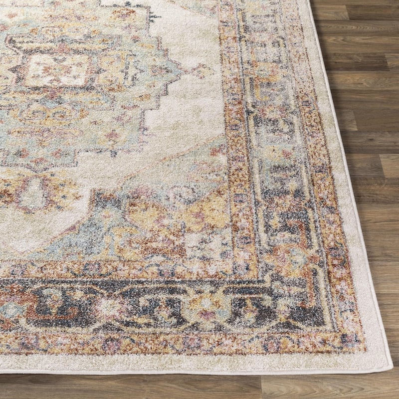 Livabliss New Mexico Updated Traditional Medallion Area Rug