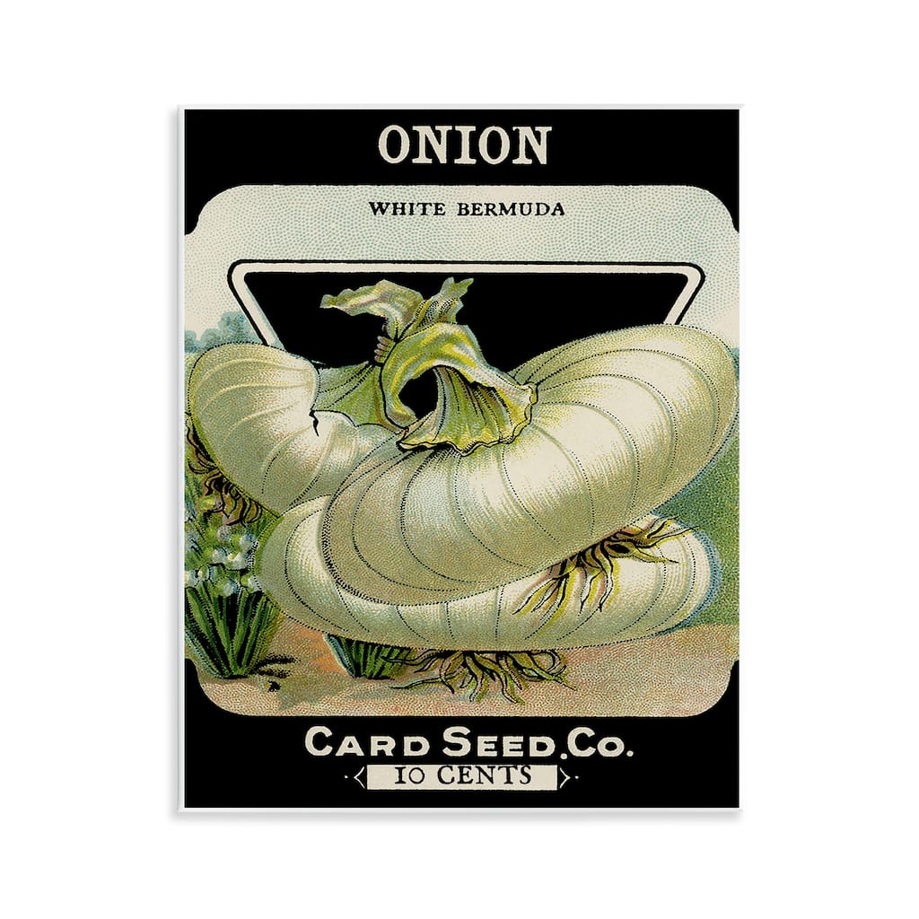 Stupell Vintage Garden Onion Wall Plaque Art Design By Lil' Rue