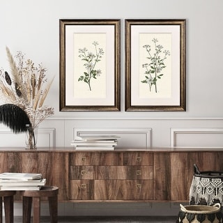Paragon Botanical Whites Framed Art - Set of 2