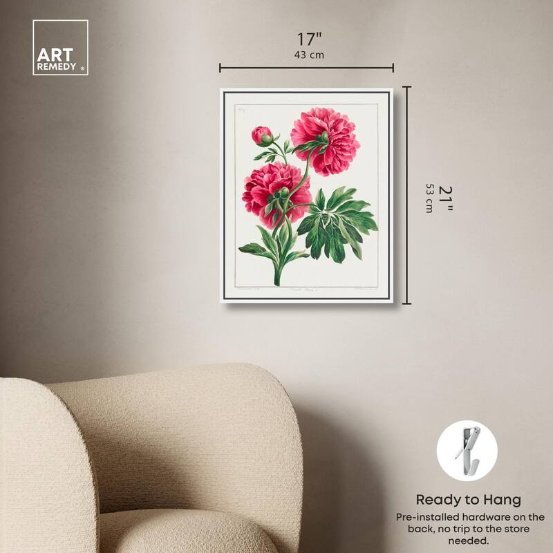 Double Peony (1789) Canvas by Art Remedy