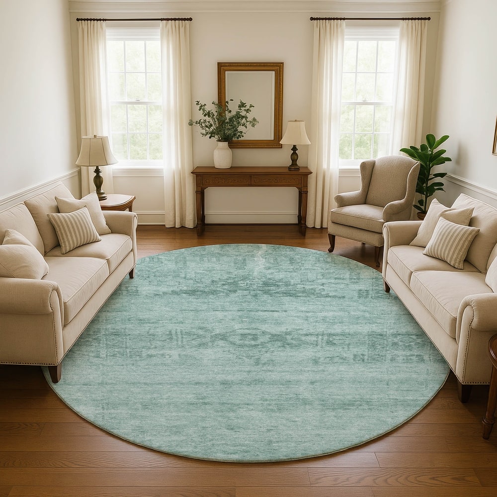 Premium Washable Super Soft Vintage Traditional Mayfield Rug