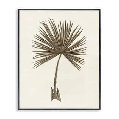 Stupell Vintage Study of Palm Leaf Framed Giclee Art Design By Phillipa Katz