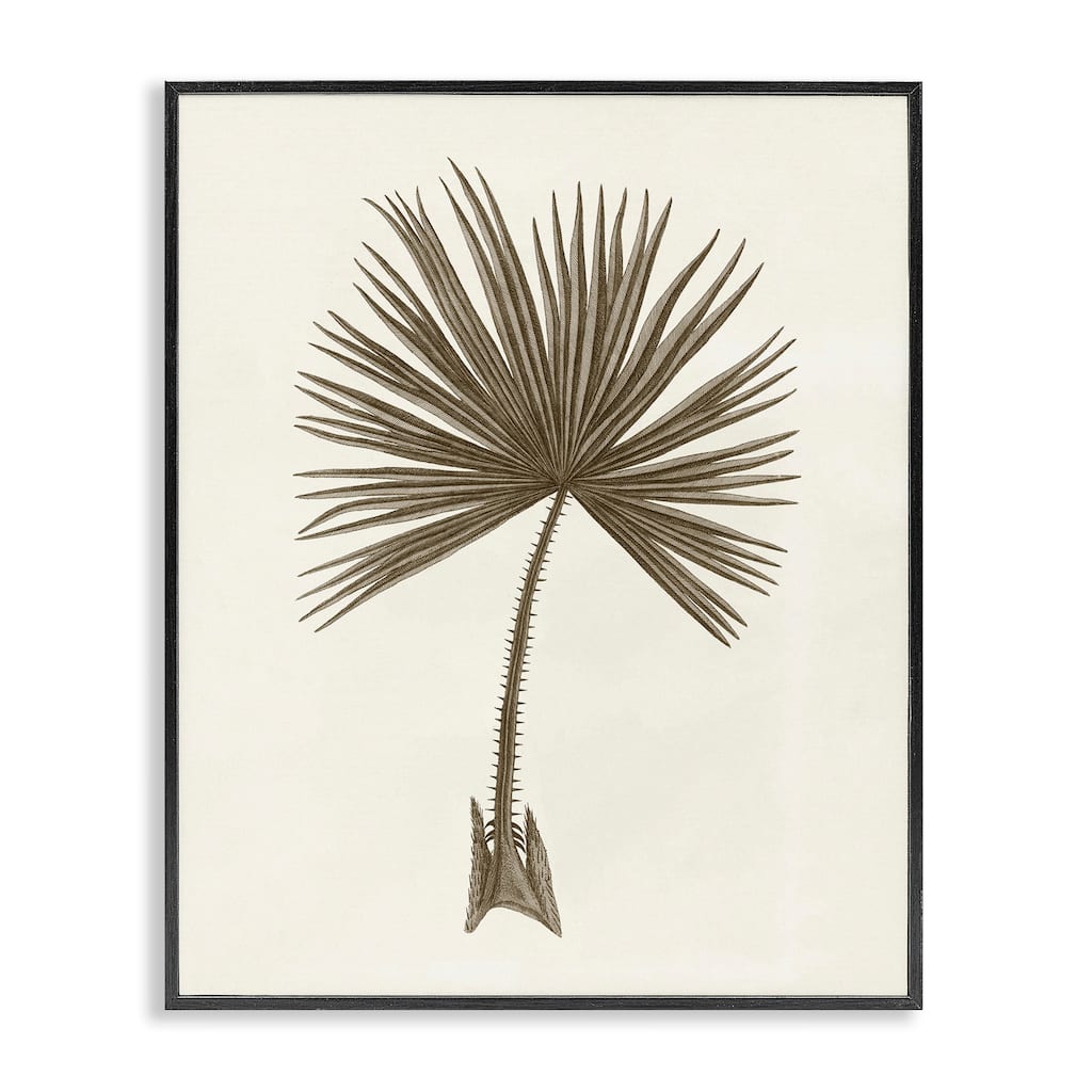 Stupell Vintage Study of Palm Leaf Framed Giclee Art Design By Phillipa Katz