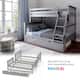 Max and Lily Twin over Full Bunk Bed with Trundle Bed