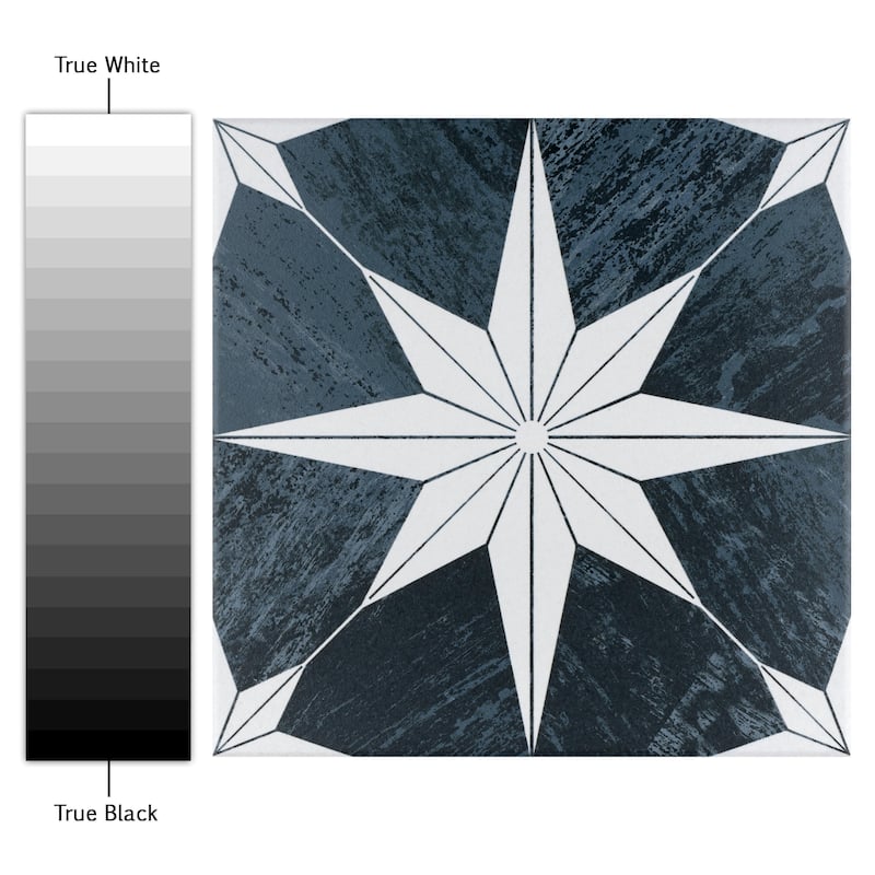 Merola Tile Cassis Stella Black Night 9-3/4" x 9-3/4" Porcelain Floor and Wall Tile