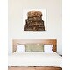 preview thumbnail 12 of 11, Oliver Gal 'sleeping POODLE' Dogs and Puppies Wall Art Print on Premium Canvas - Brown