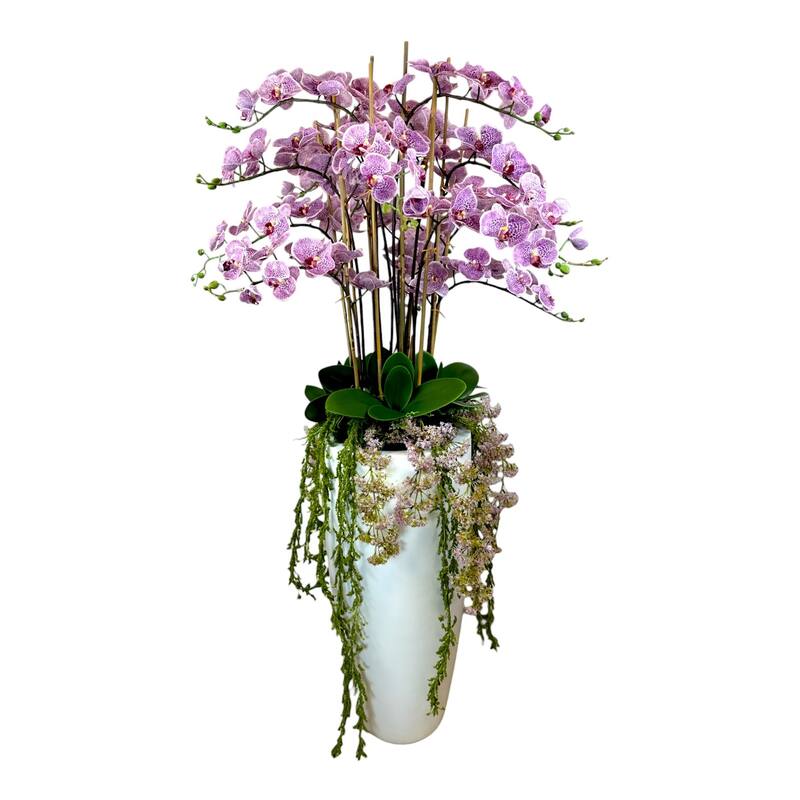 Orchid and Amaranthus Arranged in Fiberstone Planter - Pink