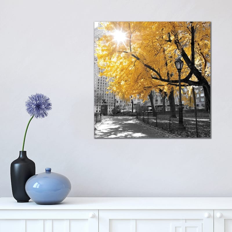 iCanvas "Park Pretty II" by Assaf Frank Canvas Print - 18x18x1.5