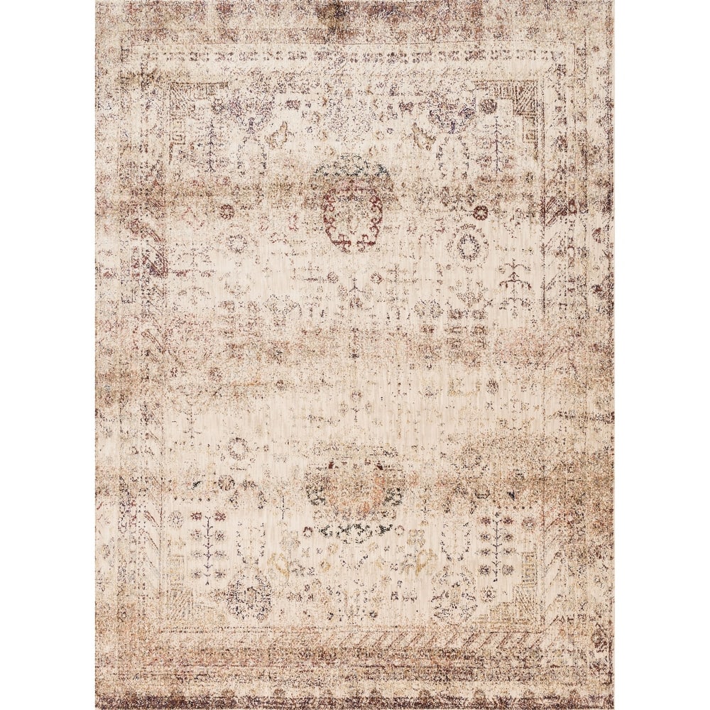 Alexander Home Contessa Botanical Distressed Area Rug