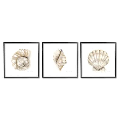 Stupell Soft White Patterned Seashells Nautical Natural Neutrals 3pc Multi Piece Framed Wall Art Set