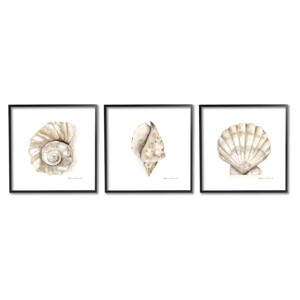 Stupell Soft White Patterned Seashells Nautical Natural Neutrals 3pc Multi Piece Framed Wall Art Set