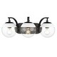 preview thumbnail 6 of 57, Carbon Loft Barton Clear Glass and Steel 3-light Bath Vanity