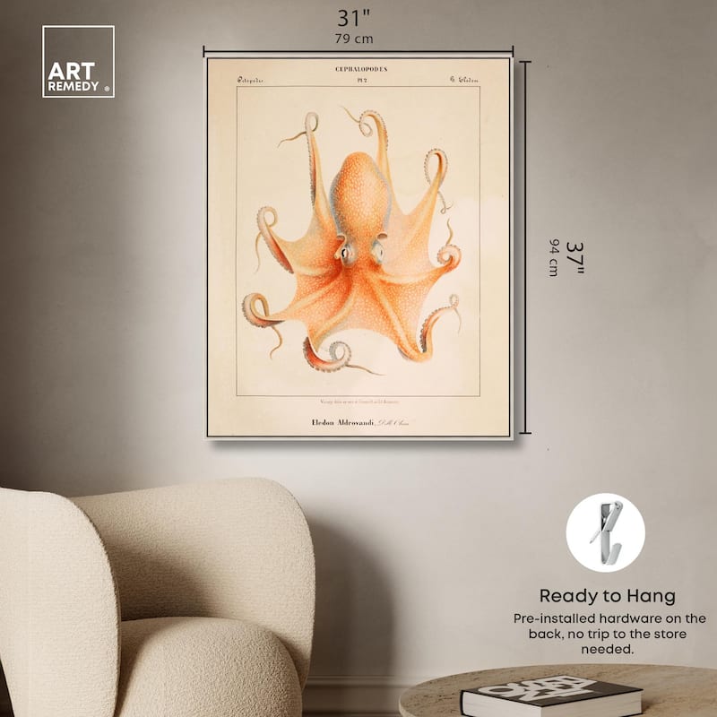 Verany The Octopus 1815 II Canvas by Art Remedy