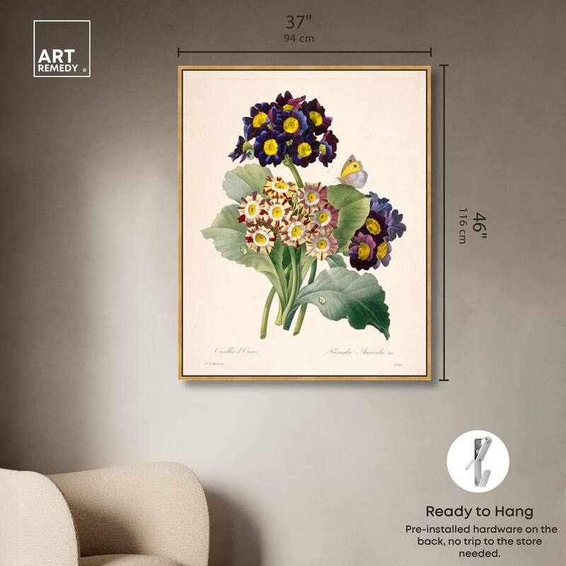 Auricula Varieties Canvas by Art Remedy