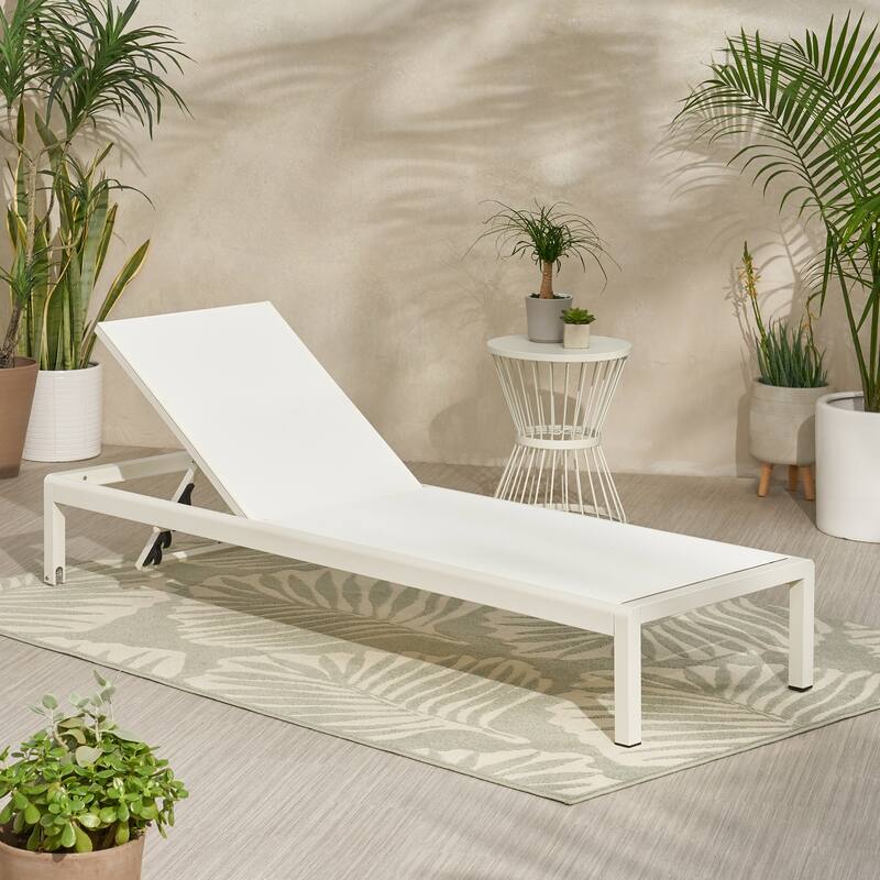 Roomfitters Adjustable Outdoor Chaise Lounge Chair, Modern Patio Recliner with Aluminum Frame
