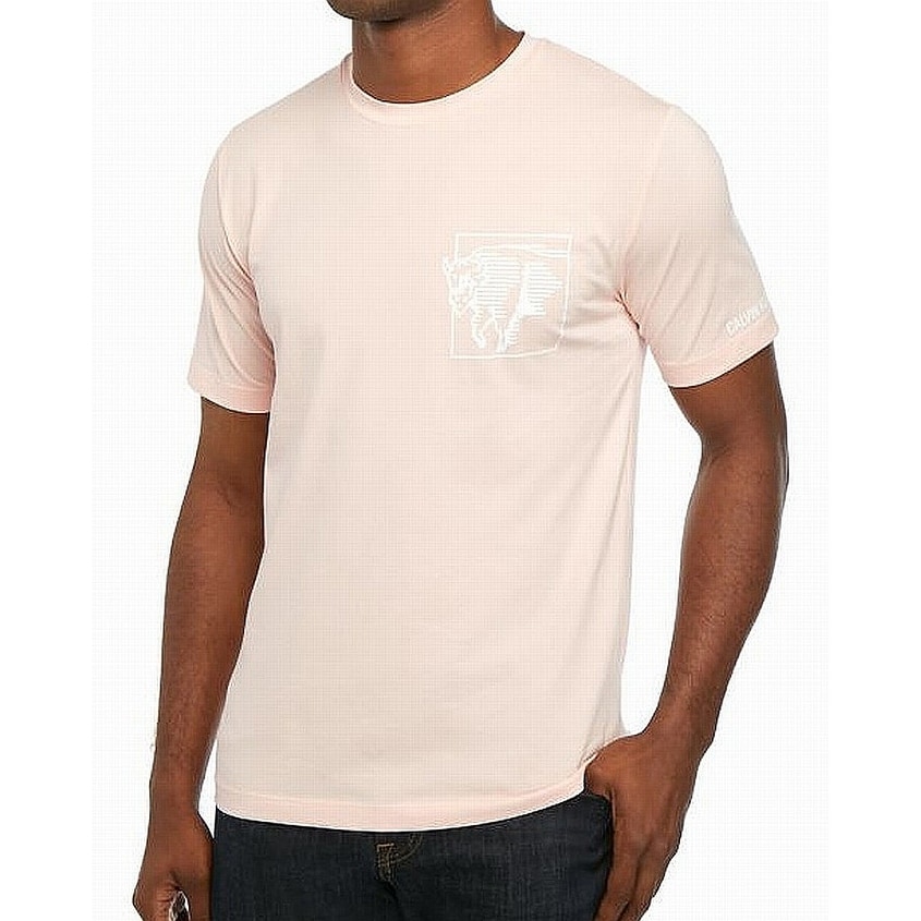 calvin klein t shirts mens online