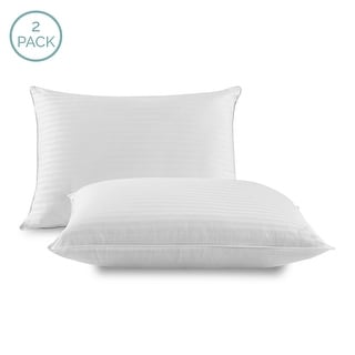 Live Comfortably Never Flat Twin Pack Pillows White Bed Bath