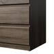 Porch & Den McKellingon 6-drawer Double Dresser