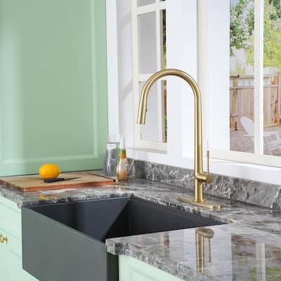 Single-Handle Sink Faucet Pull-Out Sprayer Kitchen Faucet