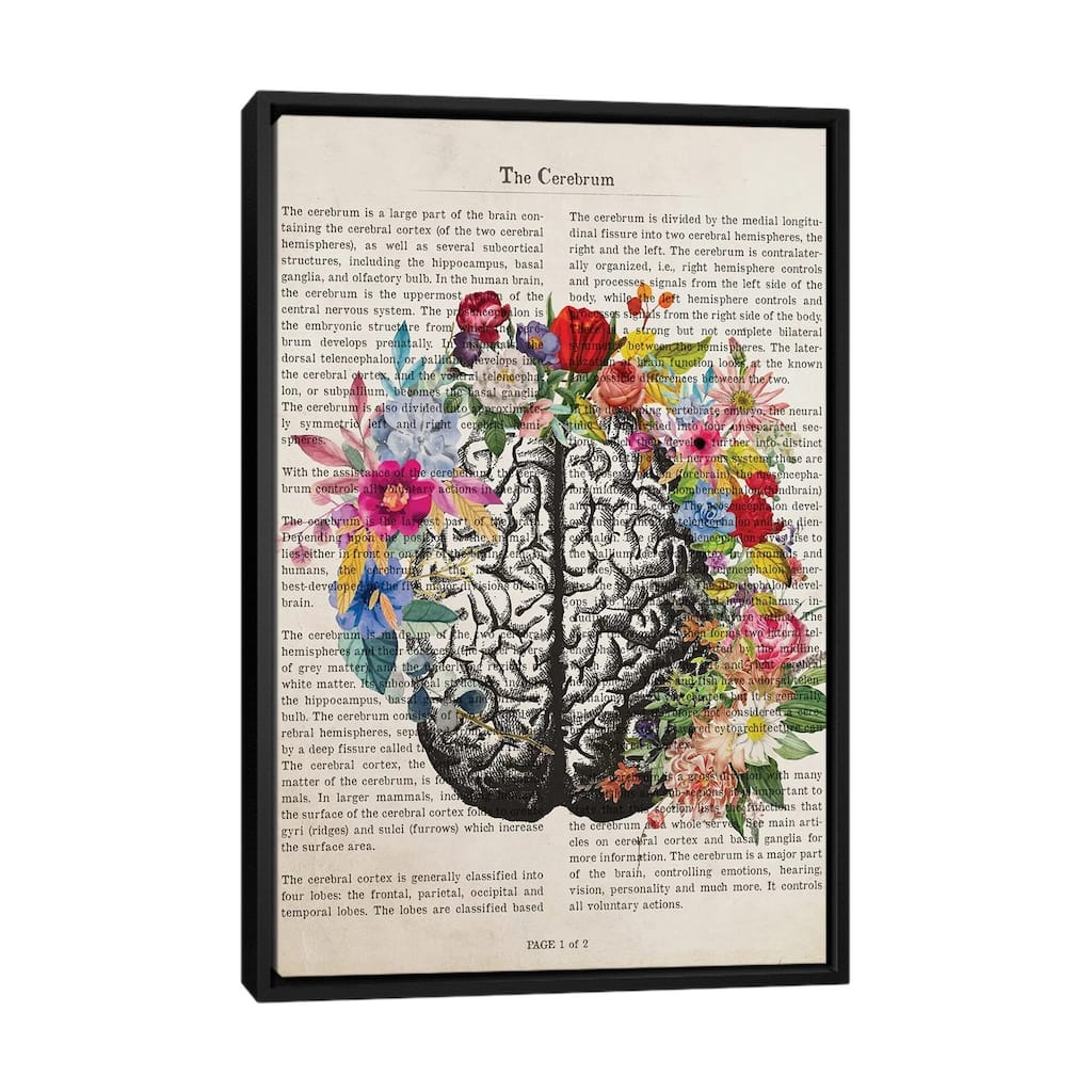 iCanvas "The Cerebrum" by Aged Pixel Framed Canvas Print