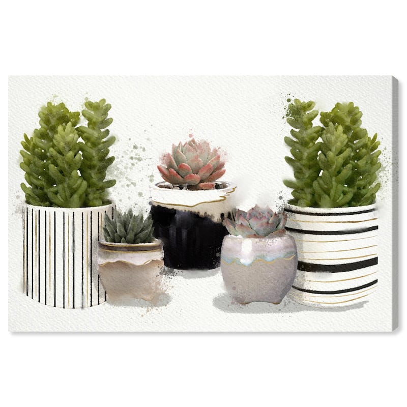 Wynwood Studio Canvas Floral and Botanical Succulent View Green and Modern & Contemporary Wall Art Canvas Print
